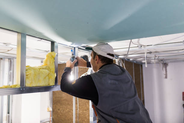 Best Types of Insulation in Medford, WI